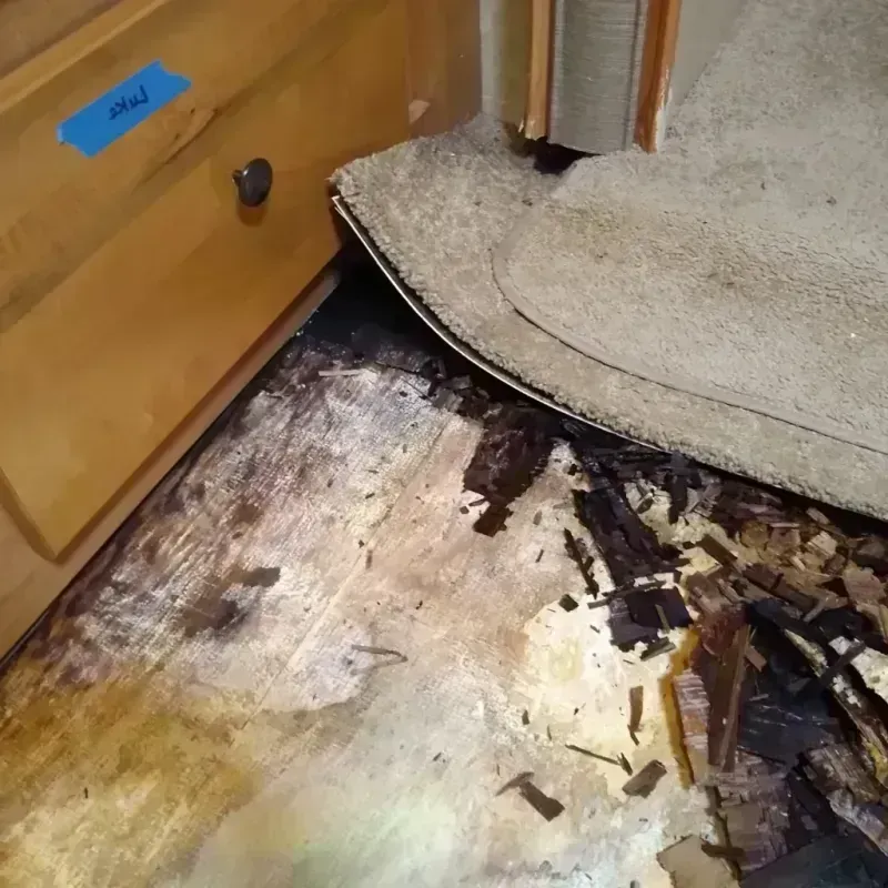 Wood Floor Water Damage in Memphis, MI